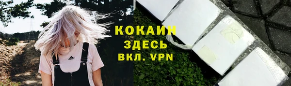 Альфа ПВП Балахна